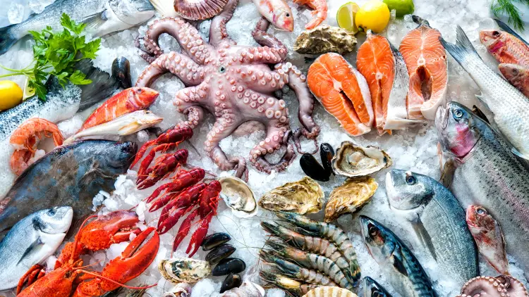 Image of category FISH-PESCE