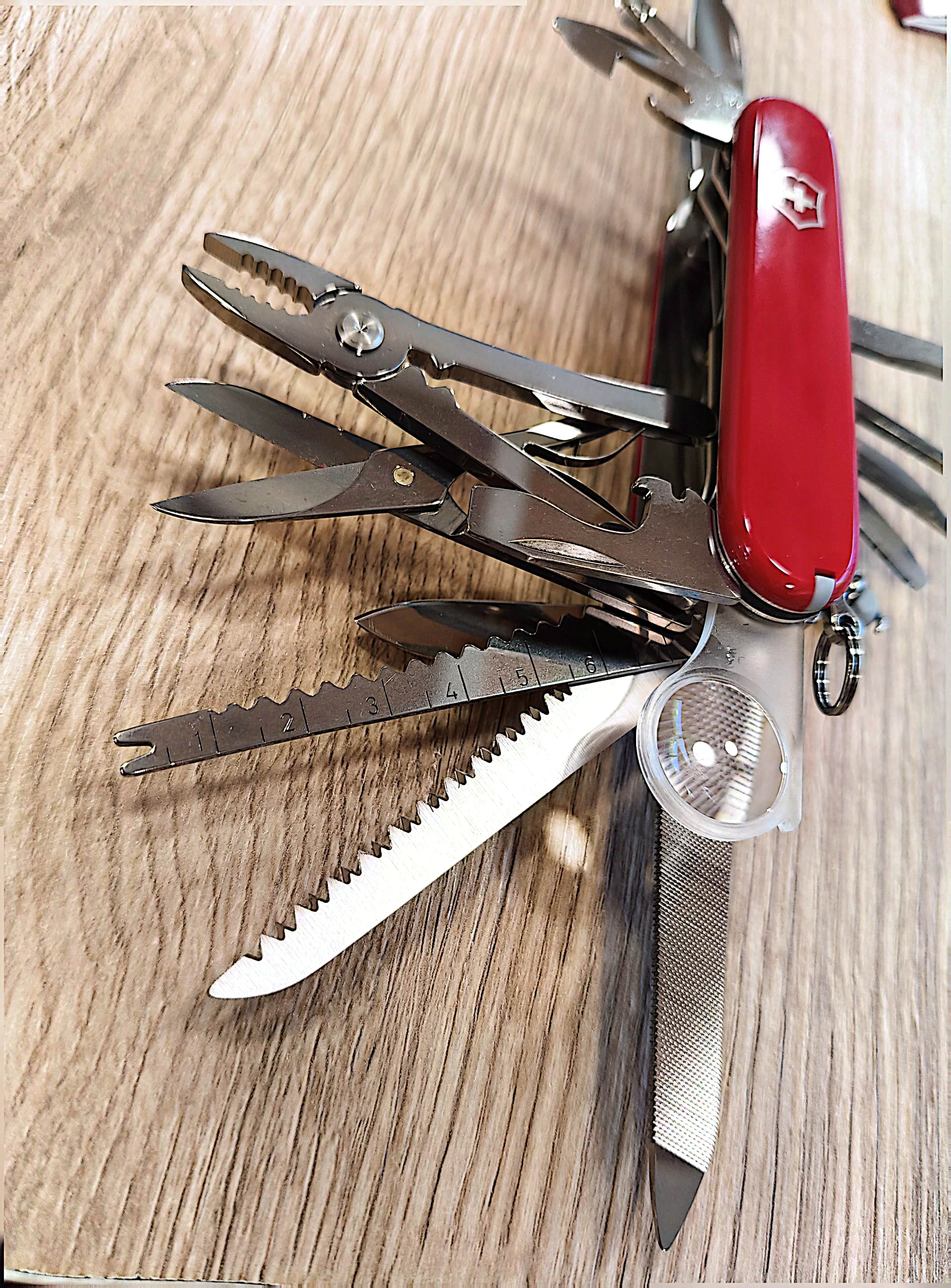 Image of product SWISS CHAMP 1.6795