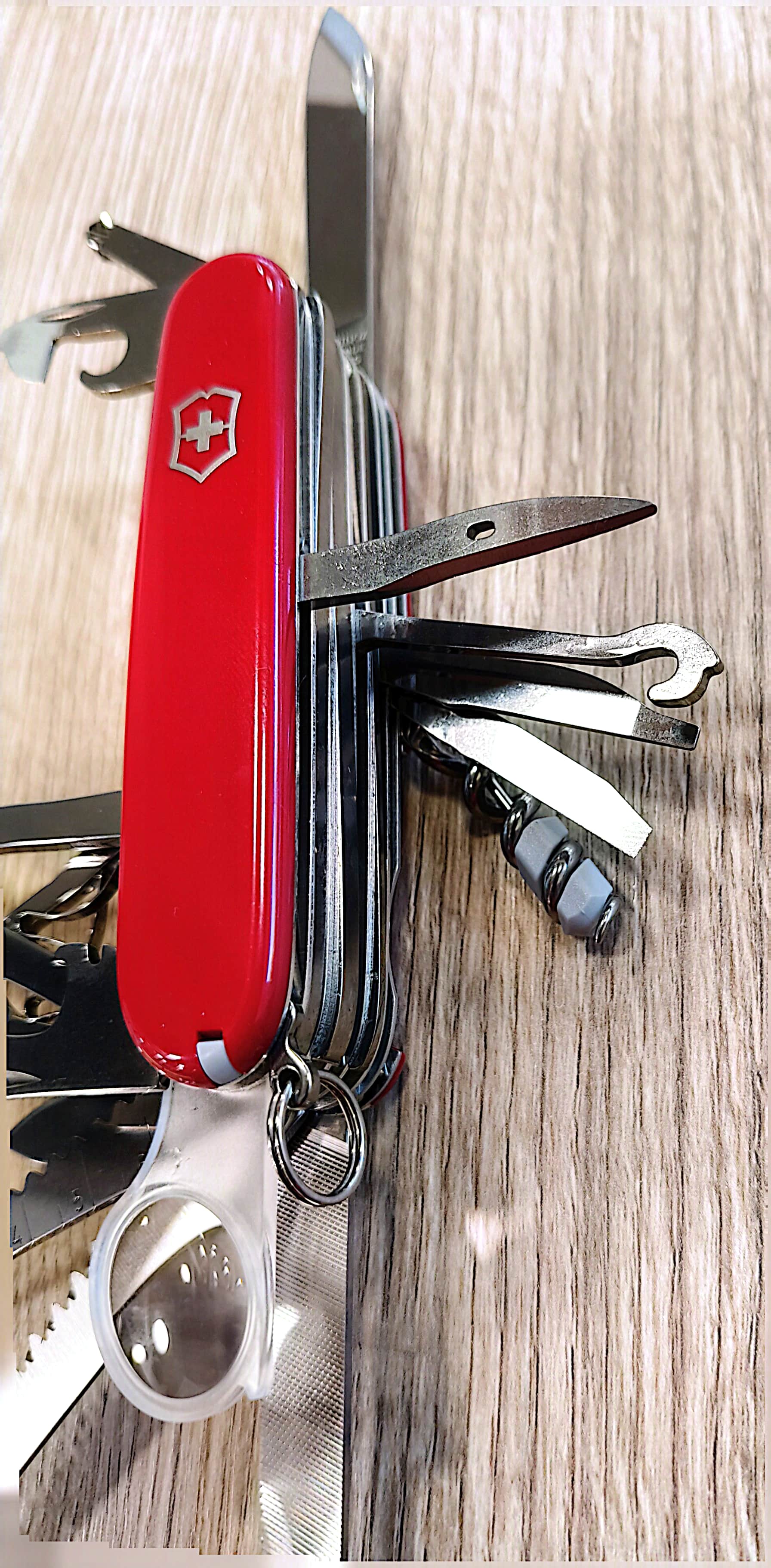 Image of product SWISS CHAMP 1.6795
